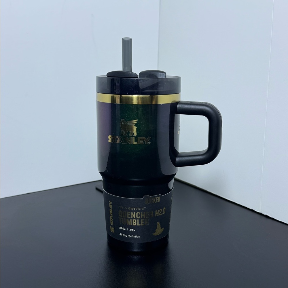 Stanley Wicked 20oz Tumbler Elphaba For Good